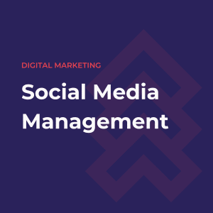 Social Media Management